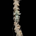 shrimp_coral_wire_bo_mb_v_0025_png2125.jpg